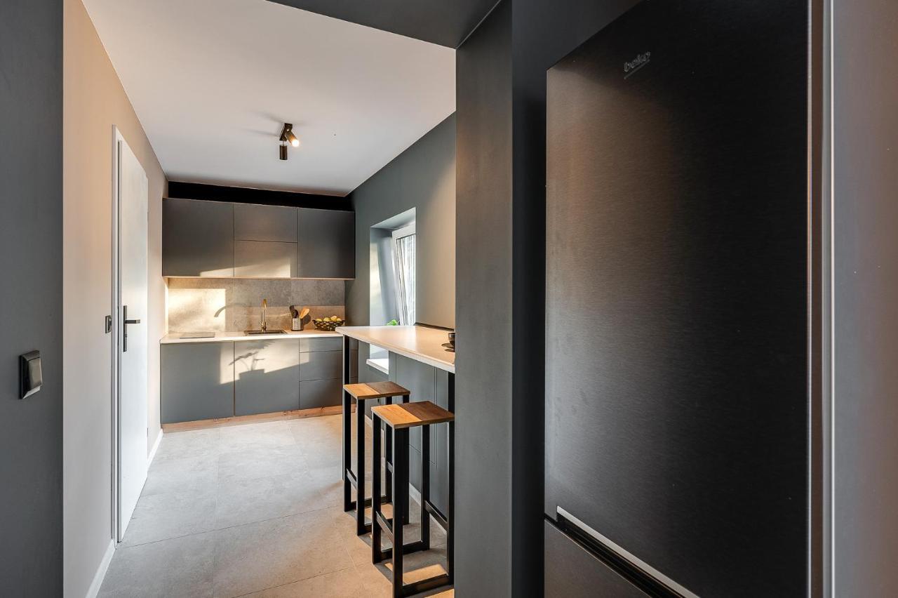 Loft House Apartment Studio Z Ogrodkiem 3 Рыбник Экстерьер фото